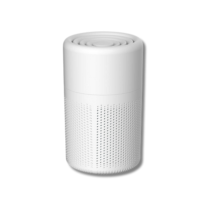 Veiyana™ – Advanced Air Purifier